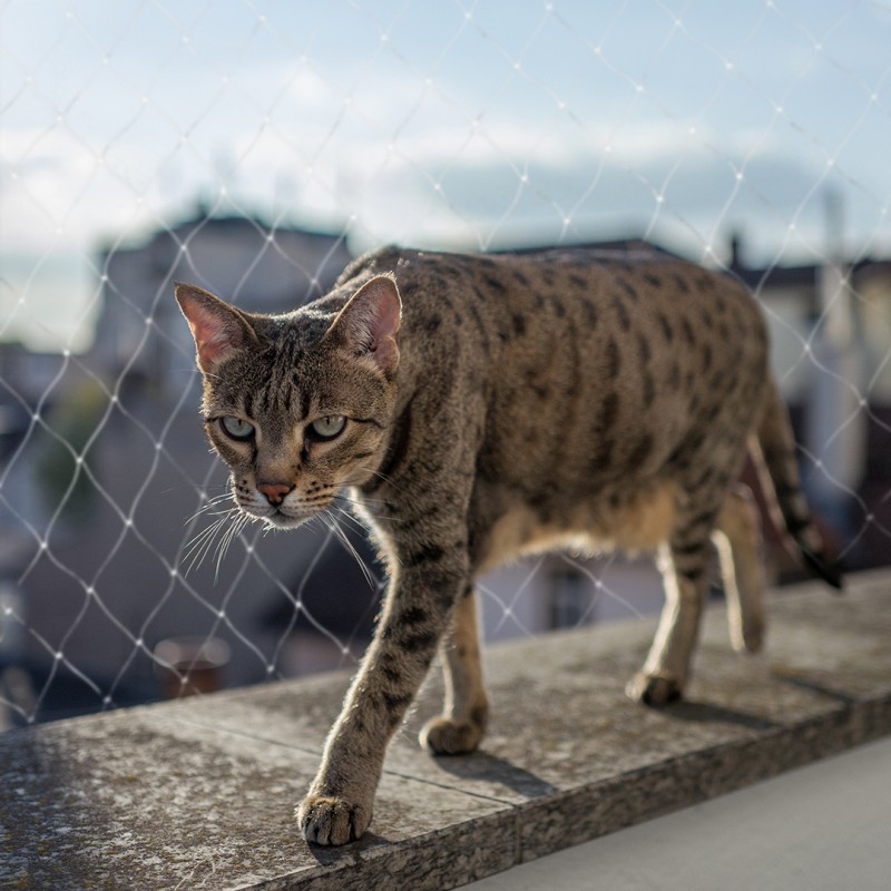 Filet De Securite Balcon Pour Chat Duvo