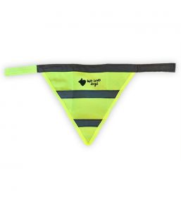 Bandana fluo réfléchissant pour chien