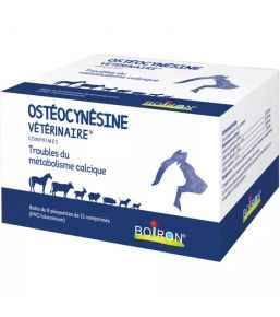 Ostéocynésine Vétérinaire - Homéopathie pour chien et chat