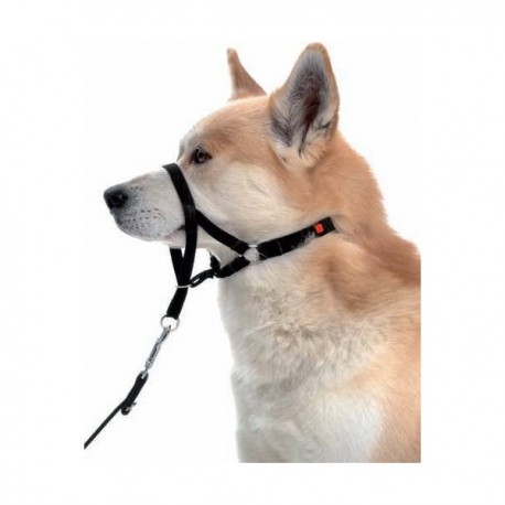 Furminator™ - Brosse révolutionnaire pour chiens à poils courts / Direct-Vet
